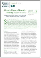 Climate Finance Thematic Briefing – REDD+ Finance